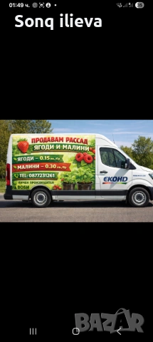 Продавам ягоди и малини, снимка 3 - Разсади - 54270403