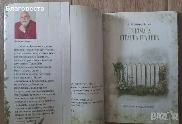 Книга- "Голямата странна градина"- Владимир Зарев, снимка 2 - Детски книжки - 55395807