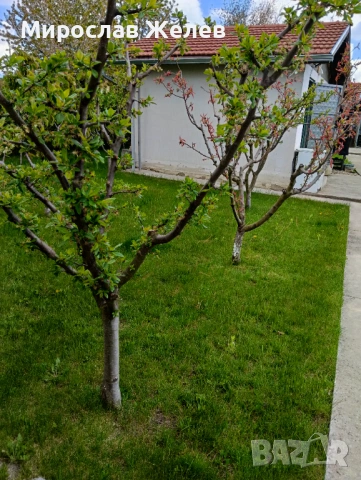Продава къща , снимка 5 - Къщи - 54398463