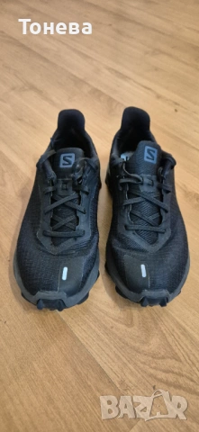 Маратонки за бягане Salomon ALPHACROSS 3 GTX W