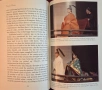 Princess Masako. Prisoner of the Chrysanthemum Throne, снимка 4