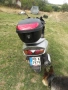 Скутер Хонда Джаз 250, снимка 6