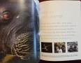 Planet Earth. The Making of an Epic Series, снимка 10