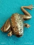 Винтидж сребърна брошка ЖАБА 🐸 Авторско ретро Арт бижу 19801, снимка 6