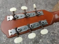 FRAMUS-MADE IN WEST GERMANY 1104261829LCHERY1, снимка 12