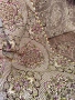 Жакардов килим нов 5.90 метра, снимка 4