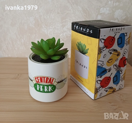 "Приятели" Friends сет с чаша, тефтер и кашпа поставка с цвете, снимка 6 - Чаши - 55027272