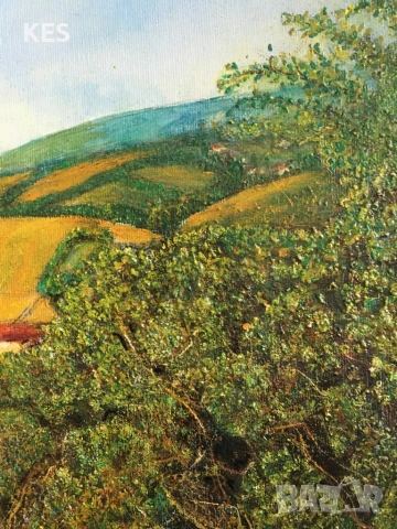 Гледка към Витоша, снимка 2 - Картини - 54836300