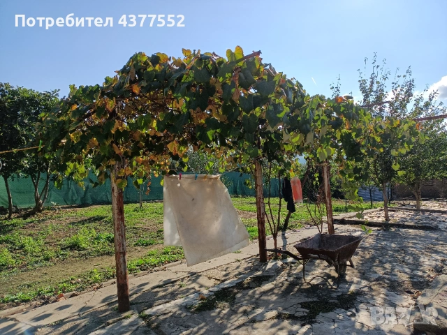 Продавам къща в село Черни Бряг, община Антоново, 64 кв.м с двор, снимка 10 - Къщи - 54828963