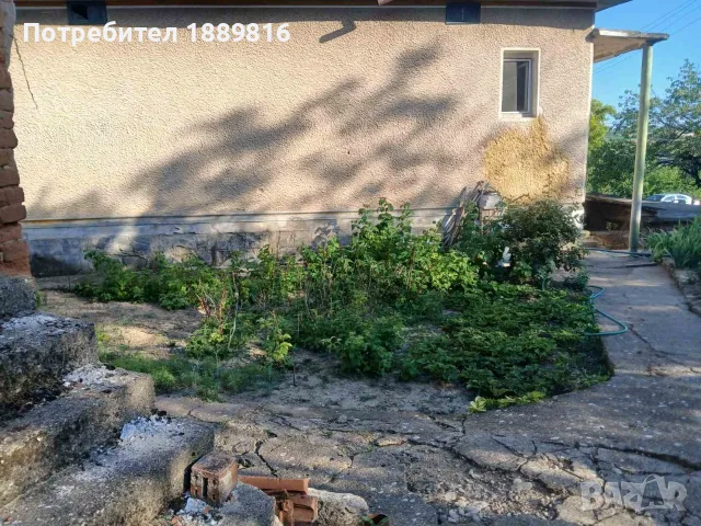 Къща в село Буковец (Видин), снимка 5 - Къщи - 55323207