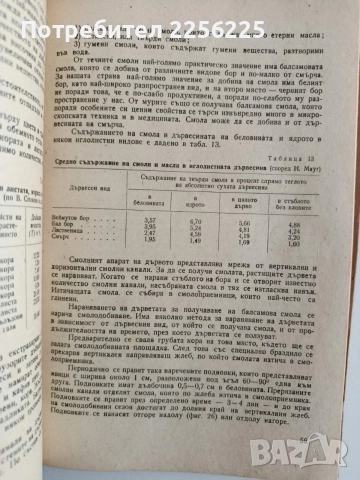 Дървесинознание, снимка 2 - Специализирана литература - 55420401