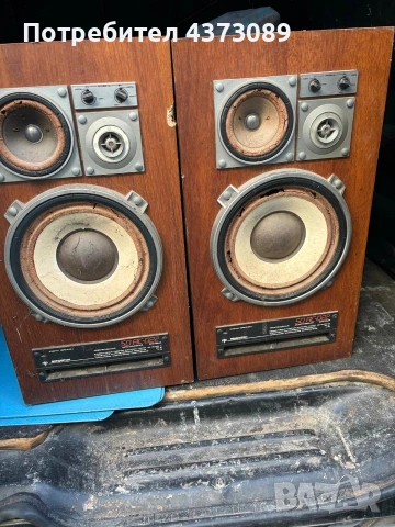 тонколони анфитон