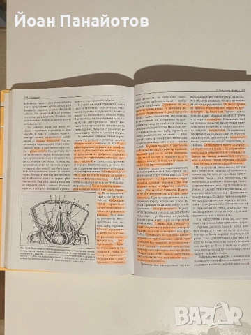 Продавам книги на символични цени, снимка 7 - Художествена литература - 54150638