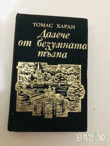 Томас Харди - Далеч от безумната тълпа Роман