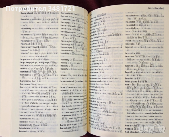 Английско-японски речник / Kenkyusha's Furigana English Japanese Dictionary, снимка 7 - Чуждоезиково обучение, речници - 54957048