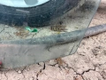 Предно Ляво Стъкло за Бмв Е46 / BMW E46 / Ляво Стъкло , Предно / , снимка 2