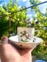 Herend и сервиз за кафе, снимка 9