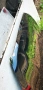 Преден капак Hyundai ix35, снимка 5