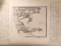 Книги от 1908 г. и 1945 г., снимка 15