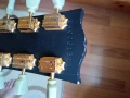 Gibson SGJ 120 anniversary, снимка 3