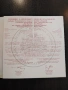 10 лева 2022 година цар Калоян , снимка 4