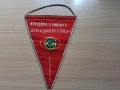 Старо знаме,флагче 1965 г., снимка 1