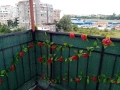Двустаен апартамент под наем. Обява от собственик., снимка 8