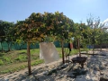 Продавам къща в село Черни Бряг, община Антоново, 64 кв.м с двор, снимка 10