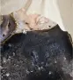 Ахат разрез върху метална стойка, снимка 5