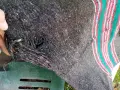 Стара вълнена пътека, снимка 2