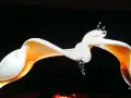 Монитор ASUS ROG Swift OLED PG27UCDM 4k, снимка 5