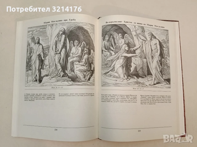 Илюстрирана Библия. 240 гравюри на дърво от Юлиус Шнор фон Каролсфелд - Юлиус Шнор фон Каролсфелд , снимка 6 - Специализирана литература - 55277163