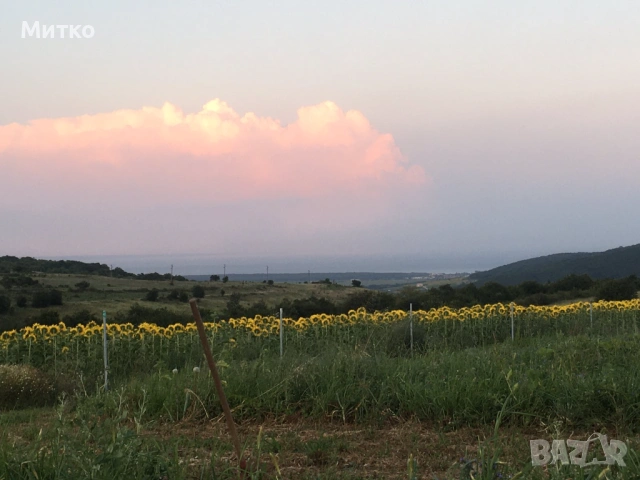От собственик