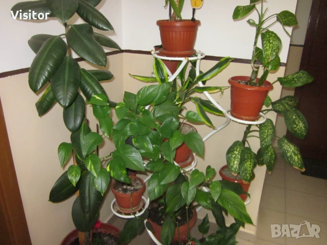 Canon PowerShot A1200  -  12.1мРх, снимка 15 - Фотоапарати - 54298934