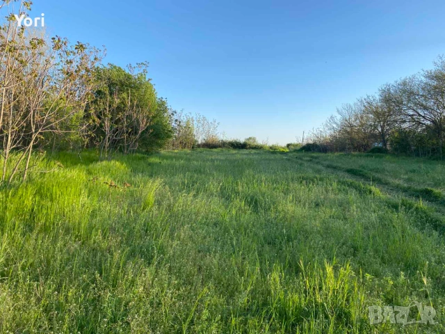 Продава се двор в гр.Козлодуй, снимка 8 - Парцели - 54331540