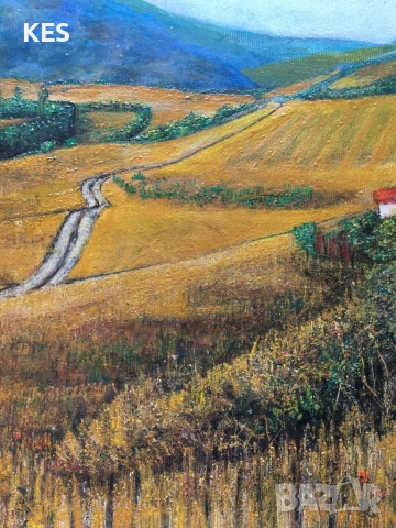 Гледка към Витоша, снимка 3 - Картини - 54553238