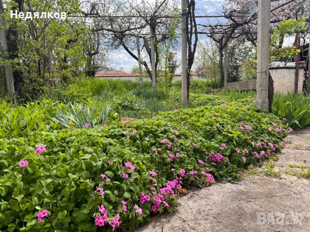 Къща с. Ръжево, снимка 4 - Къщи - 54249811