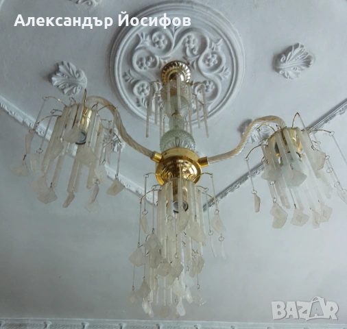 Полилей, снимка 3 - Полилеи - 54892970
