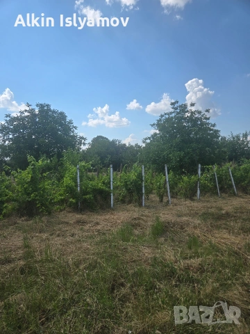 🏡 Продава се къща , снимка 9 - Къщи - 54724975