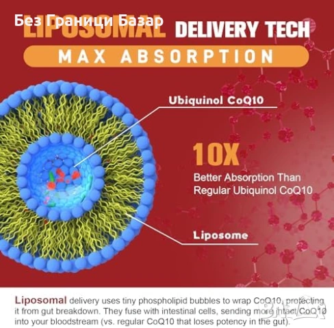 Нов Липозомен CoQ10 1000mg Убихинол Омега-3 120 капсули, снимка 3 - Хранителни добавки - 54207546