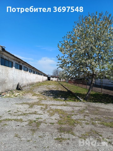 продават се халета, снимка 3 - Производствени сгради - 54308171