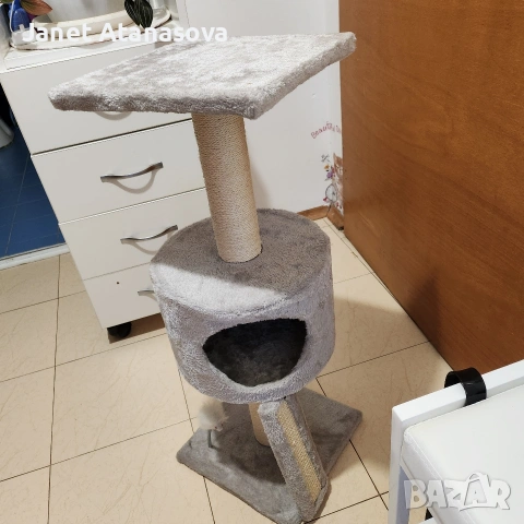 котешка катерушка