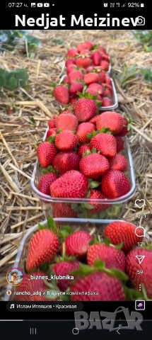 ЯГОДИ ПЛОД, снимка 10 - Домашни продукти - 54558810