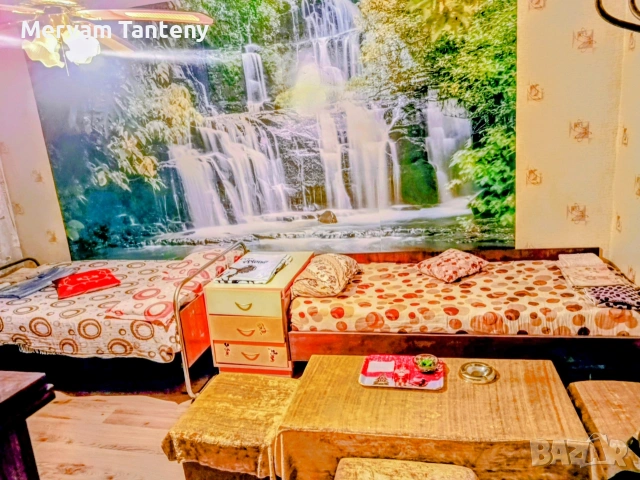 Стая под наем в Димитровград , снимка 13 - Стаи под наем - 55217502