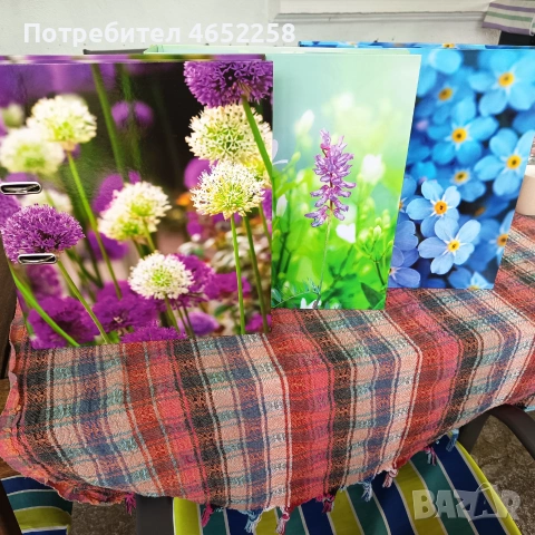 Цветен класьор