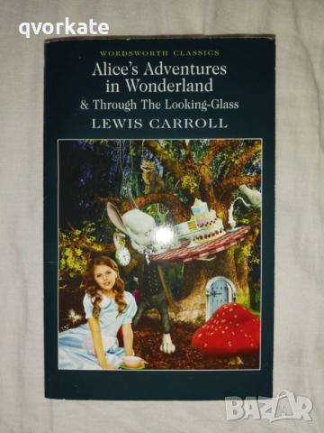 Дракони-Гери Маккол, снимка 2 - Детски книжки - 29224837