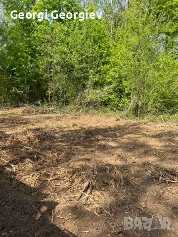 Почистване с мулчер , снимка 2 - Други - 54021034