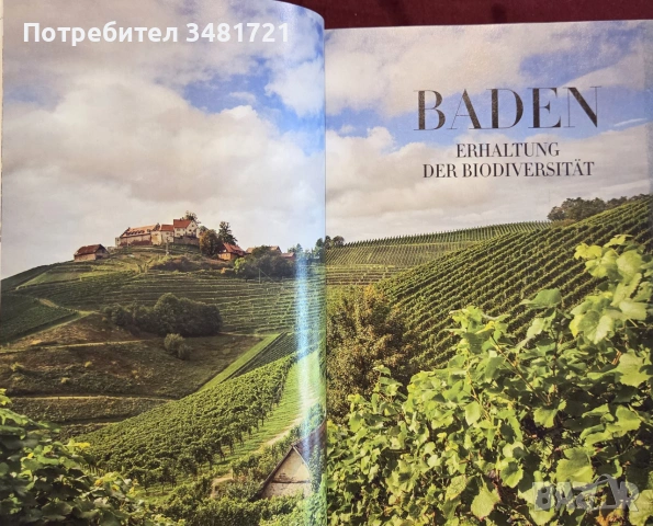 Справочник - вината на Германия 2021 / Falstaff Wein Guide Deutschland 2021, снимка 9 - Кулинария - 55064982