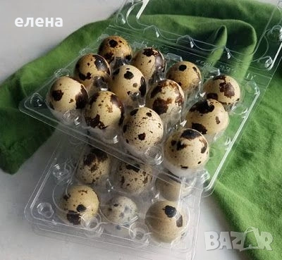 Пъдпъдъчи яйца , снимка 2 - други­ - 54004544