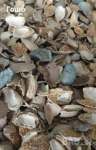 Черупки, дърва,пилети, въглища , снимка 2 - Въглища - 54371580